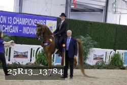 25R13_13784 thumbnail