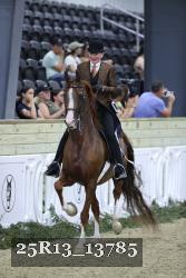 25R13_13785 thumbnail