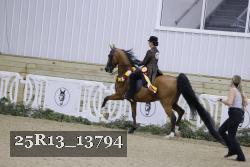 25R13_13794 thumbnail