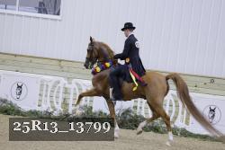 25R13_13799 thumbnail