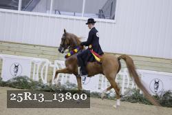 25R13_13800 thumbnail