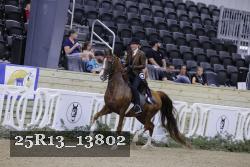 25R13_13802 thumbnail