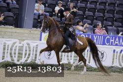 25R13_13803 thumbnail