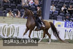 25R13_13804 thumbnail