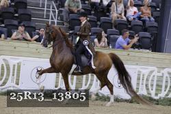 25R13_13805 thumbnail