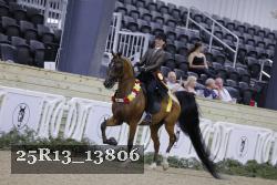 25R13_13806 thumbnail