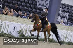 25R13_13807 thumbnail