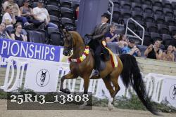 25R13_13808 thumbnail