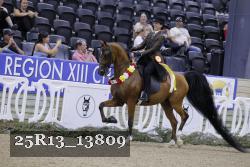 25R13_13809 thumbnail