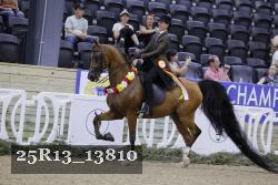 25R13_13810 thumbnail