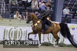 25R13_13811 thumbnail