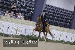 25R13_13812 thumbnail