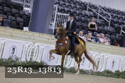 25R13_13813 thumbnail