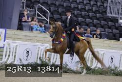 25R13_13814 thumbnail