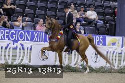 25R13_13815 thumbnail