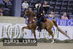 25R13_13816 thumbnail