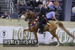 25R13_13817 thumbnail