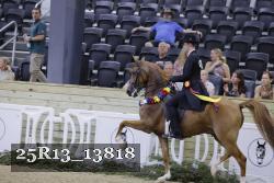 25R13_13818 thumbnail