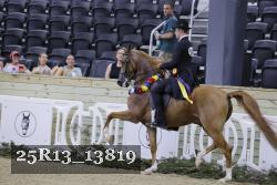 25R13_13819 thumbnail
