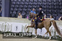 25R13_13820 thumbnail