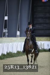 25R13_13821 thumbnail