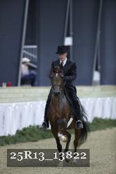 25R13_13822 thumbnail