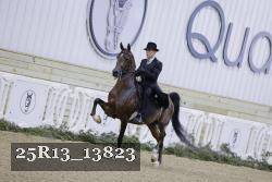 25R13_13823 thumbnail