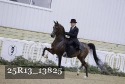 25R13_13825 thumbnail