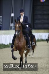 25R13_13827 thumbnail