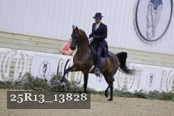 25R13_13828 thumbnail