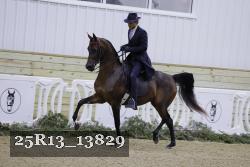 25R13_13829 thumbnail