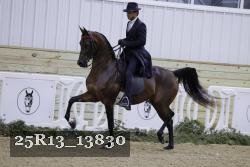 25R13_13830 thumbnail