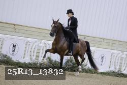 25R13_13832 thumbnail
