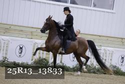 25R13_13833 thumbnail