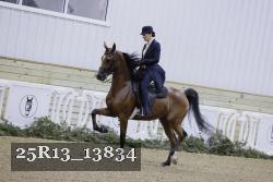 25R13_13834 thumbnail