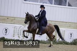 25R13_13837 thumbnail