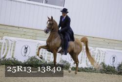 25R13_13840 thumbnail