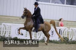 25R13_13841 thumbnail
