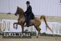 25R13_13842 thumbnail