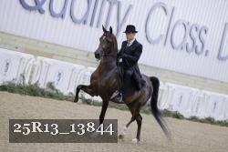 25R13_13844 thumbnail