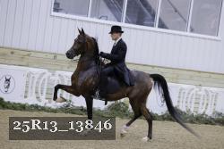 25R13_13846 thumbnail