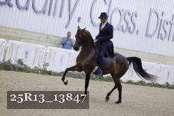 25R13_13847 thumbnail