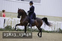 25R13_13848 thumbnail