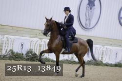 25R13_13849 thumbnail