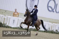 25R13_13850 thumbnail