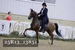 25R13_13851 thumbnail