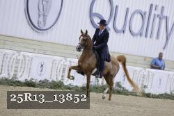 25R13_13852 thumbnail