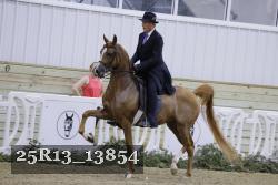 25R13_13854 thumbnail