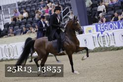 25R13_13855 thumbnail