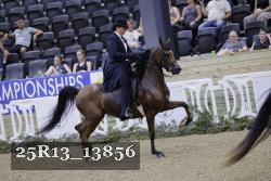 25R13_13856 thumbnail